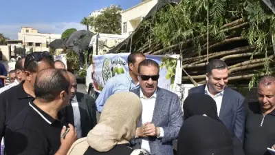 أشجار مخصصة للزراعة ضمن مبادرة 100 مليون شجرة في بورسعيد