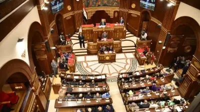 الرئيس عبد الفتاح السيسي خلال جولته الآسيوية