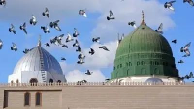 توضيح دار الإفتاء المصرية بشأن حكم تبليغ السلام إلى النبي صلى الله عليه وآله وسلم