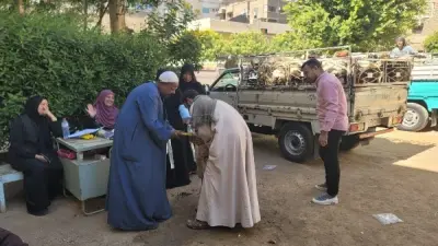 تسليم أغنام عشار للأسر الأكثر احتياجًا في قرى سوهاج