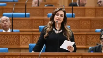 سيارات ذوي الإعاقة المحتجزة بالموانئ خلال إجراءات المراجعة الجمركية