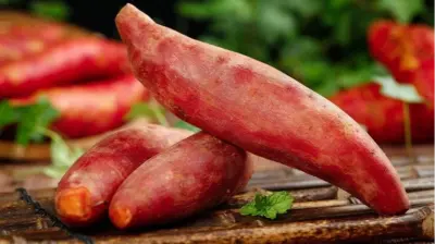 البطاطا الحلوة