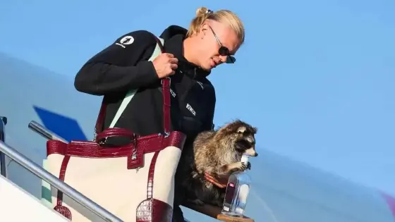 Erling Haaland Surprises Fans with Dramatic New Look Ahead of Premier League Season