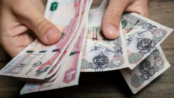 UAE: 15 Charged in Dh107M Tax Evasion and Money Laundering Case