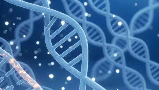 UAE: Mandatory Pre-Marital Genetic Testing for All Citizens from January 2025
