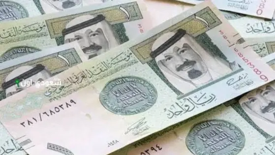 استقرار أسعار الريال السعودي في مصر اليوم 27 مايو 2025