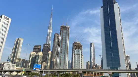 UAE Implements New Tax Measures with OECD Recognition