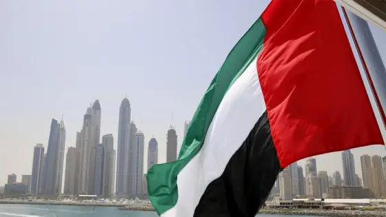 UAE Seeks Re-Election to IMO Council, Highlights Maritime Leadership