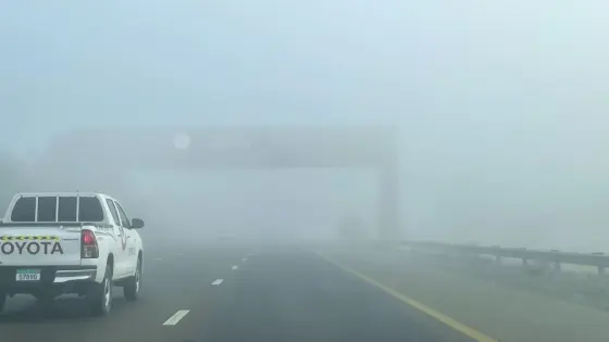 Dec 2 Weather Report: Abu Dhabi Dips to 20ºC as NCM Issues Fog Alert for Holiday Morning