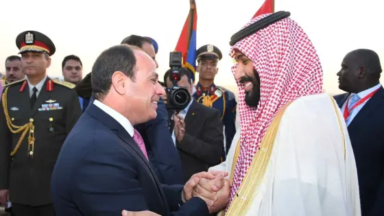 السيسي ومحمد بن سلمان من القاهرة: دعوة لوقف إطلاق النار في غزة ولبنان