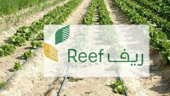 كيفية الاستعلام عن برنامج دعم ريف 1446
