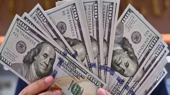 سعر الدولار