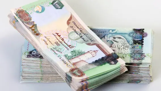 الدرهم الإماراتي