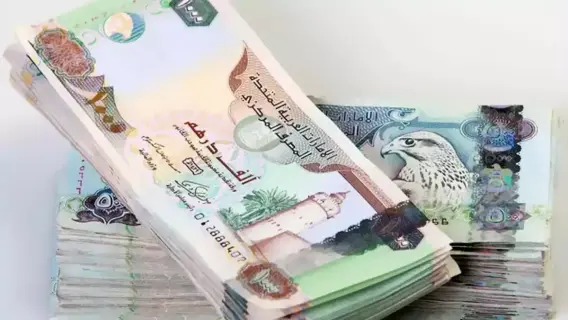 درهم إماراتي