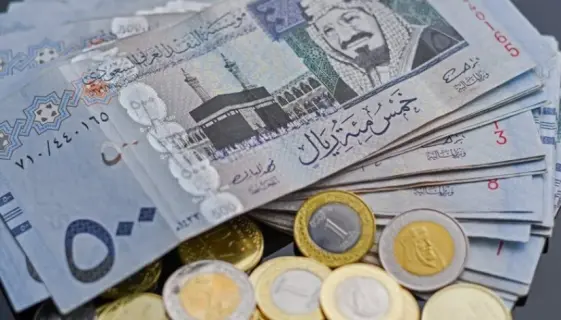 عملات سعودية ومصرية تظهر على خلفية رسوم بيانية اقتصادية