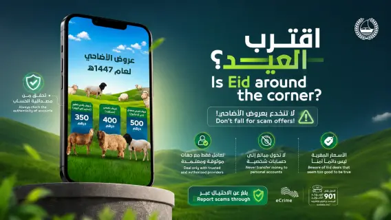 منصة ذكية لحجز الأضاحي بأسعار تنافسية في الإمارات