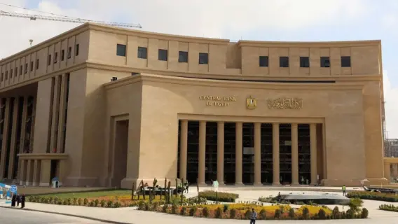 Egypt foreign currency reserves and Central Bank of Egypt