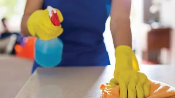 UAE imposes a fine of up to Dh200,000 for employing maids without a work permit