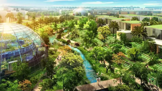 Dubai Municipality Completes $66 Million Green Space Enhancement Projects