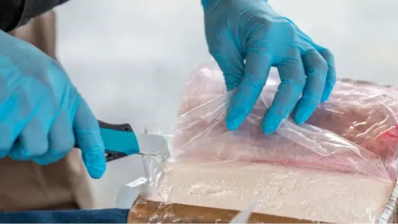 Dubai Launches Advanced Forensic Facility to Accelerate Crime Detection