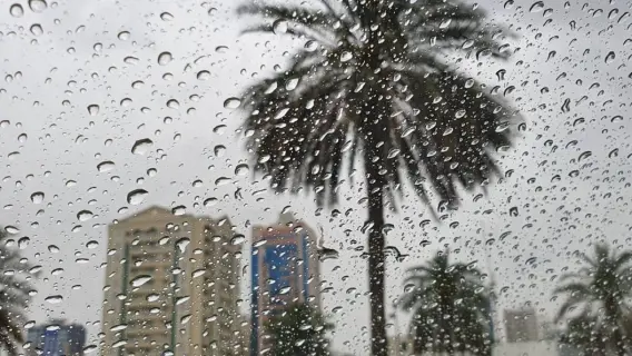 UAE Weather: Rainfall Affects Parts of UAE; Yellow Alert Issued for Winds & Rough Seas