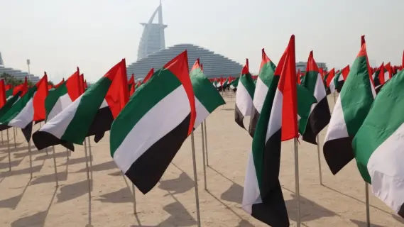 UAE Ministry Expresses Condolences to South Korea Over Plane Crash