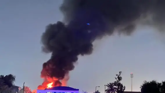 UAE: Fire Breaks Out Near Umm Al Quwain Zoo Wildlife Park