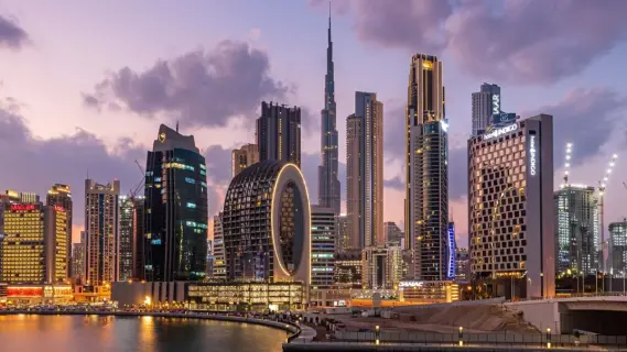 ارتفاع قياسي في أسعار الفلل بدبي: 145% خلال عقد من الزمن