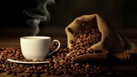 تحذير طبي: القهوة قد تؤثر سلباً على نومك، تعرف على التوقيت المثالي لتناولها