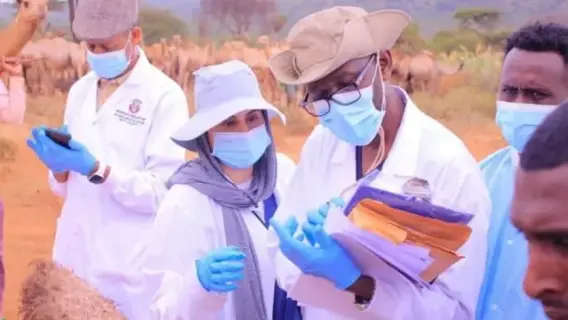 «أبوظبي للزراعة» تكشف عن مسببات نفوق الإبل في إثيوبيا