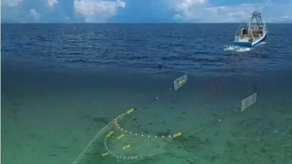 دراسة تكشف: تكلفة الصيد بشباك الجر في أوروبا تصل إلى 11 مليار يورو سنوياً