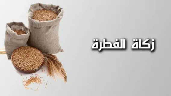 مجلس الإمارات للإفتاء الشرعي: جواز إخراج زكاة الفطر نقدًا في عيد الفطر السعيد