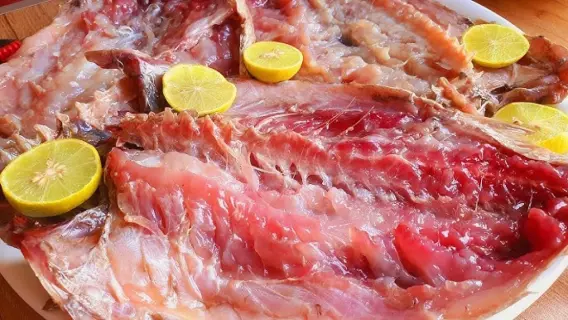 استمتع بمذاق الفسيخ المصري: طريقة تحضيره بخطوات بسيطة