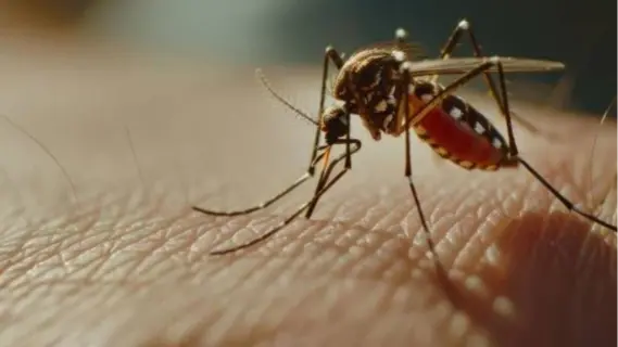 كندا تسجل أول اصابة بفيروس غرب النيل في تورونتو هذا العام