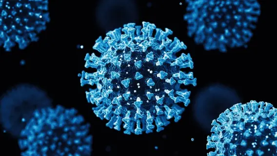 الولايات المتحدة تحذر من تفشي فيروس "أوروبوش"