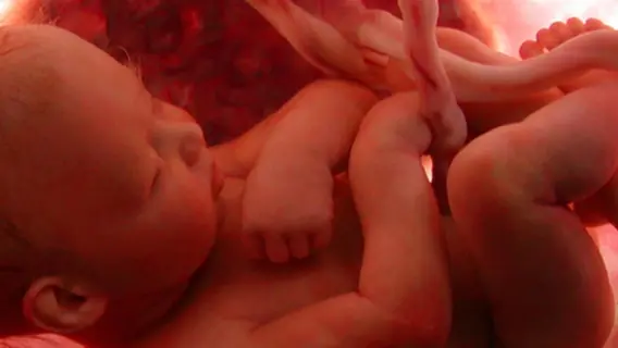 الذكاء الاصطناعي يكشف عن تشوهات الجنين بدقة وسرعة عالية