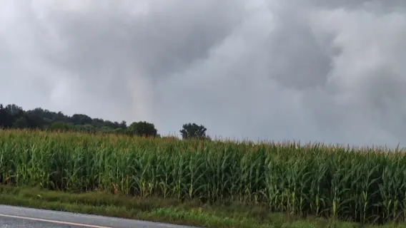 إعصار يضرب مدينة آير في أونتاريو ويؤدي إلى دمار واسع النطاق