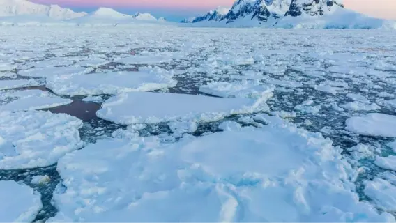 تراجع تاريخي في جليد القطب الشمالي يُنذر بعواقب وخيمة