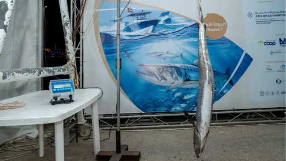 افتتاح بطولة أبوظبي الكبرى لصيد الكنعد وسط مشاركة واسعة