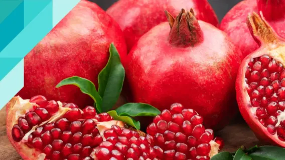 دراسة جديدة تكشف عن فوائد الرمان في تعزيز صحة القلب وتقليل مخاطر الأمراض القلبية