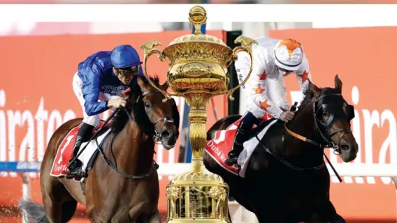 كأس دبي العالمي: 2.2 مليار درهم جوائز تفوز بها أفضل الخيول في العالم
