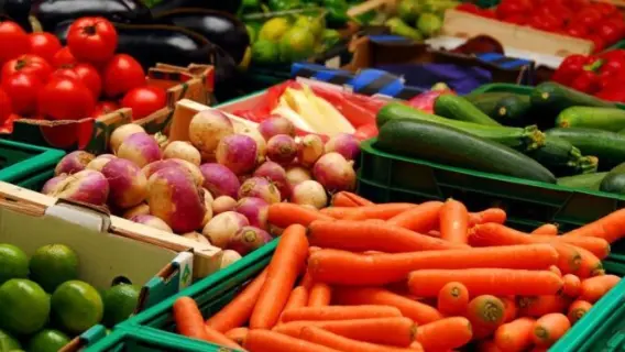 استقرار أسعار الخضروات في أسواق الأقصر اليوم الأحد 20 أبريل 2025