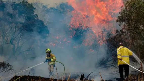 إسرائيل تعلن السيطرة على حرائق جبال القدس
