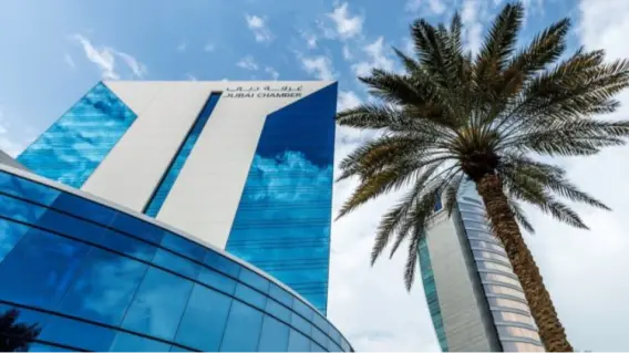 Dubai Chamber of Digital Economy Aids 127 Startups in Q1 2025