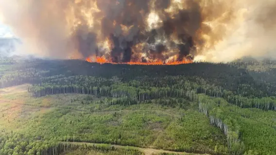 Canada's Wildfires Propel Smoke Across U.S. and U.K.