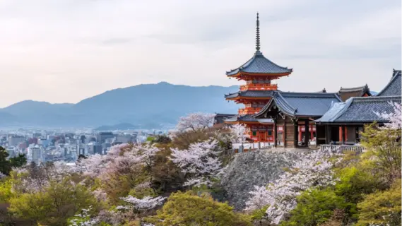 Over 470 Earthquakes Jolt Southern Islands of Japan