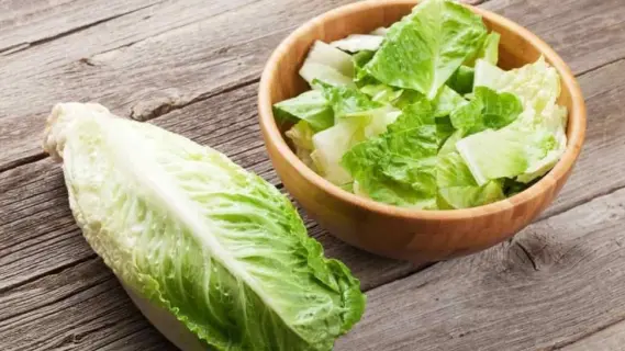 فوائد الخس الصحية خلال فصل الصيف