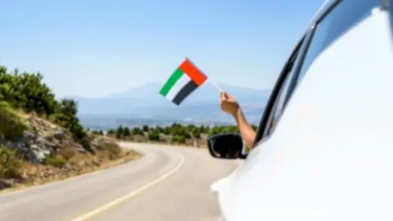 الأسباب المؤدية لاعتقال السائق فورًا في الإمارات