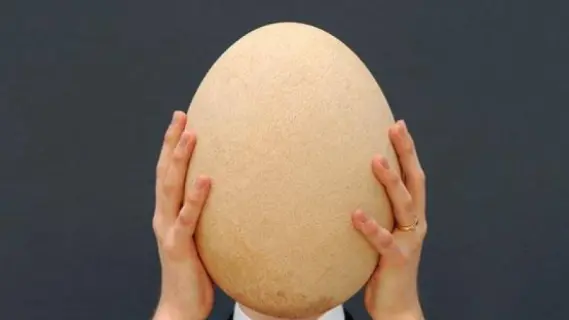 أشهر طهاة بريطانيا يطهون بيضة عملاقة بوزن 7.8 كيلوغرام