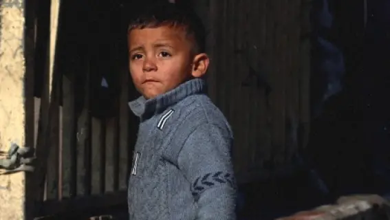 اليمن: طفل يقدم حياته بحثًا عن الماء في تعز